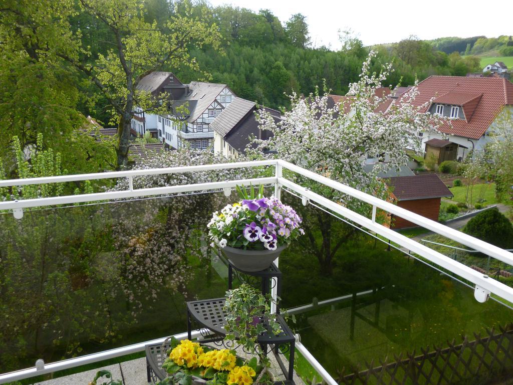 Ferienwohnung Dommes Fuhrbach Екстериор снимка